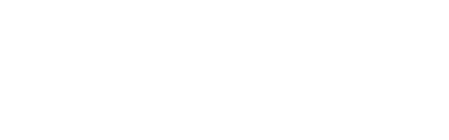Momentum Human Movement